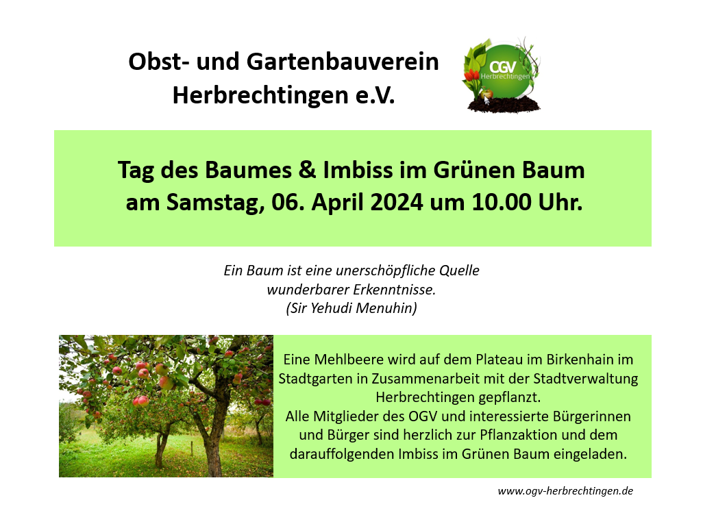 Read more about the article Tag des Baumes & Imbiss im Grünen Baum