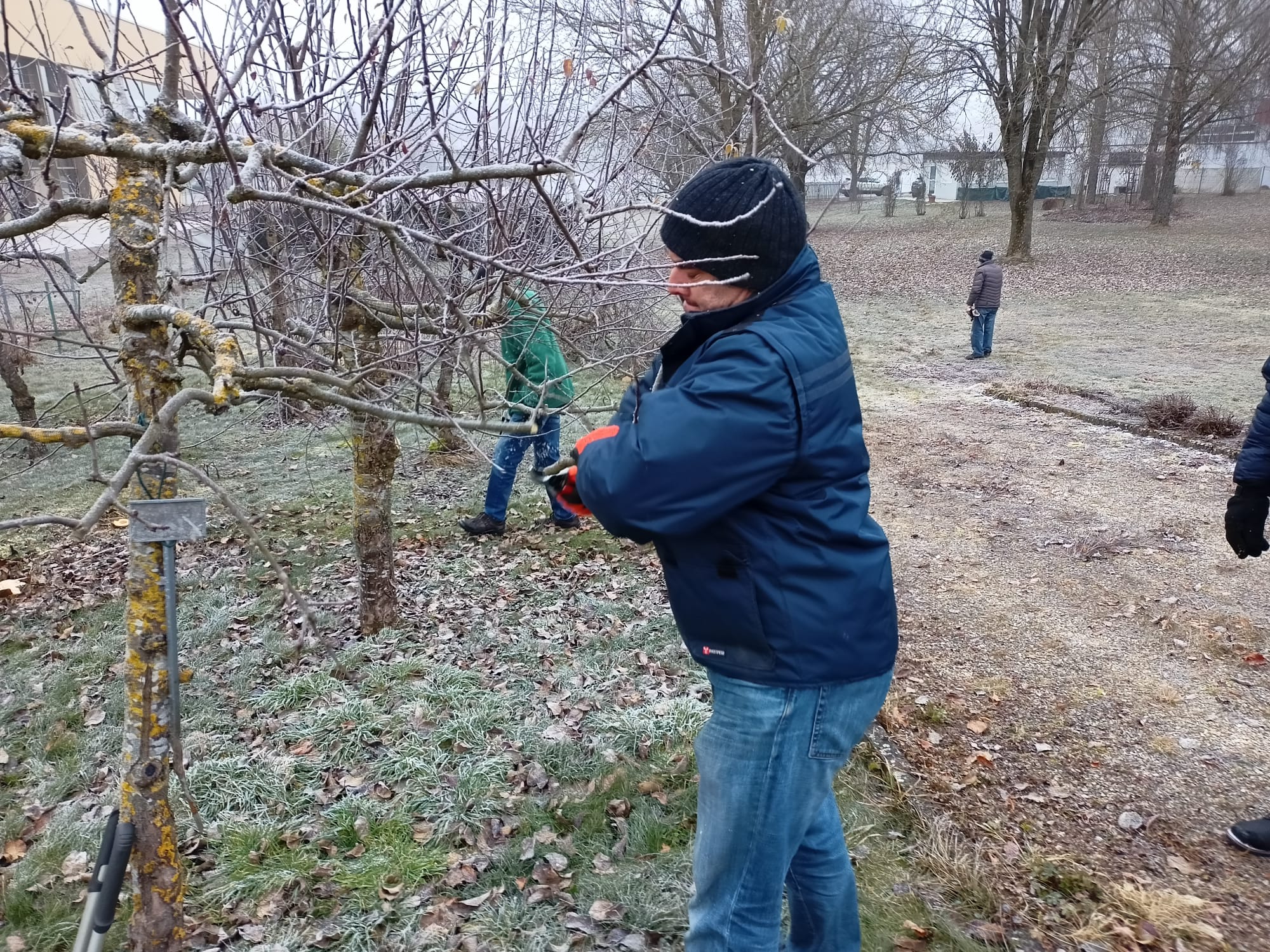 Mehr über den Artikel erfahren Winterschnitt 1 im Lehrgarten